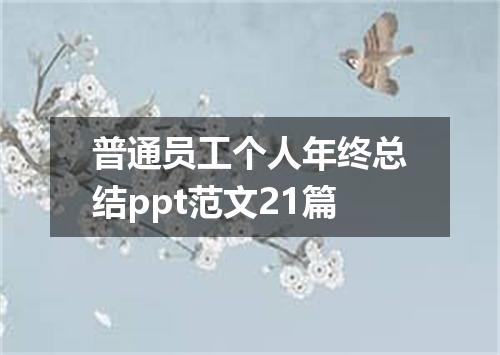 普通员工个人年终总结ppt范文21篇