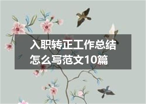 入职转正工作总结怎么写范文10篇