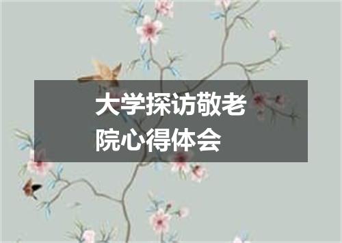 大学探访敬老院心得体会