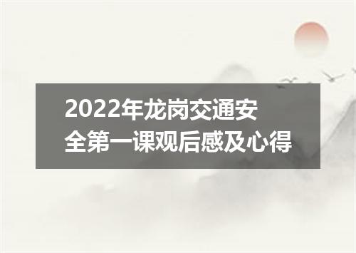 2022年龙岗交通安全第一课观后感及心得