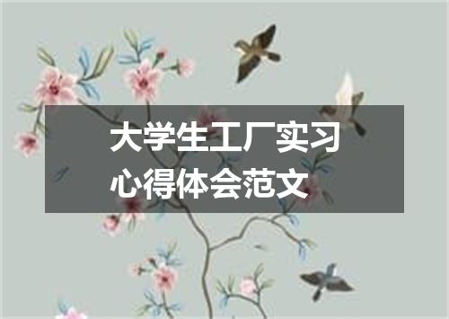 大学生工厂实习心得体会范文