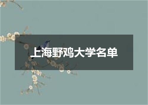 上海野鸡大学名单