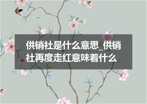 供销社是什么意思_供销社再度走红意味着什么