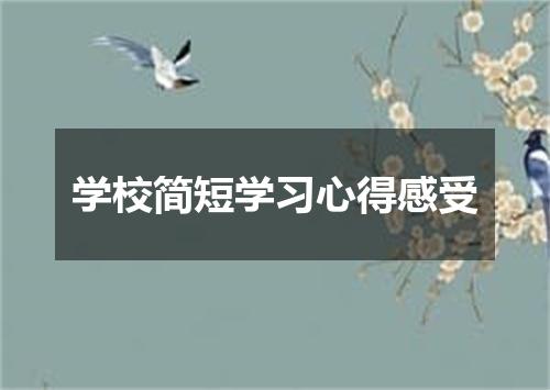 学校简短学习心得感受