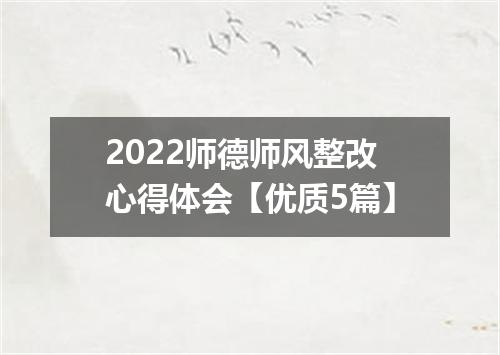 2022师德师风整改心得体会【优质5篇】