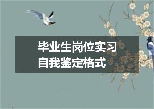毕业生岗位实习自我鉴定格式