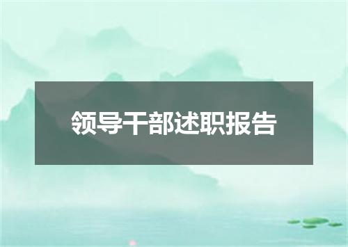 领导干部述职报告