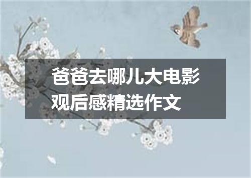 爸爸去哪儿大电影观后感精选作文