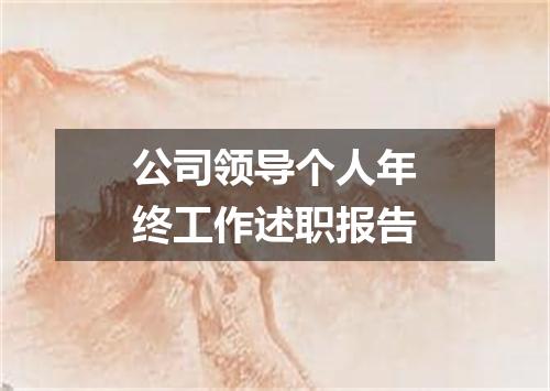 公司领导个人年终工作述职报告
