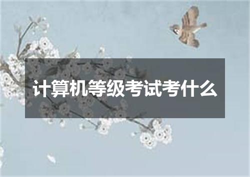 计算机等级考试考什么