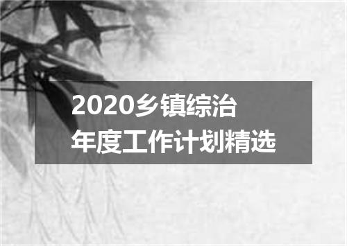 2020乡镇综治年度工作计划精选