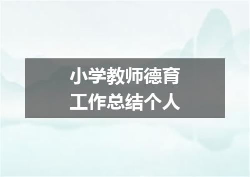 小学教师德育工作总结个人