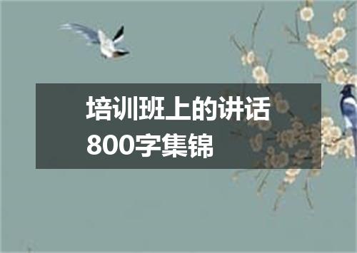 培训班上的讲话800字集锦