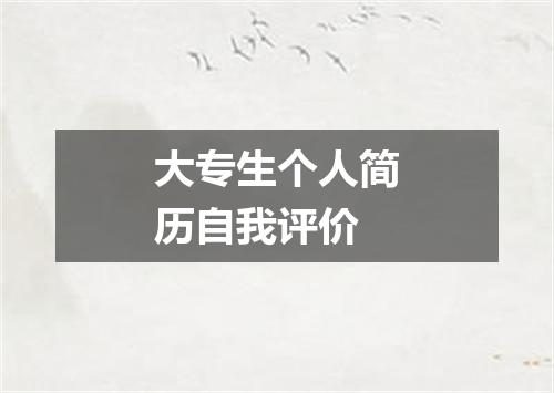 大专生个人简历自我评价