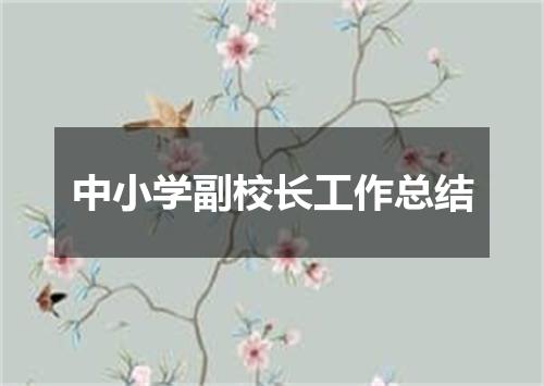 中小学副校长工作总结