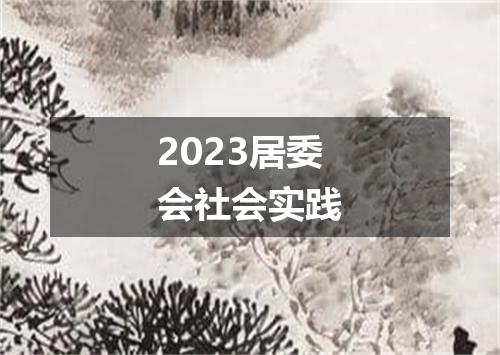 2023居委会社会实践