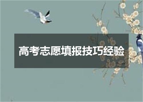 高考志愿填报技巧经验