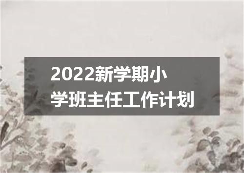2022新学期小学班主任工作计划