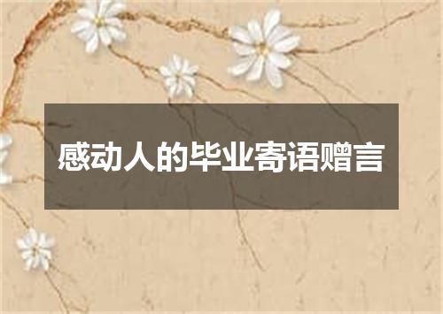 感动人的毕业寄语赠言