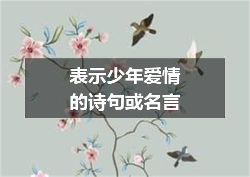 表示少年爱情的诗句或名言