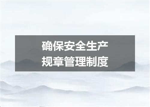 确保安全生产规章管理制度