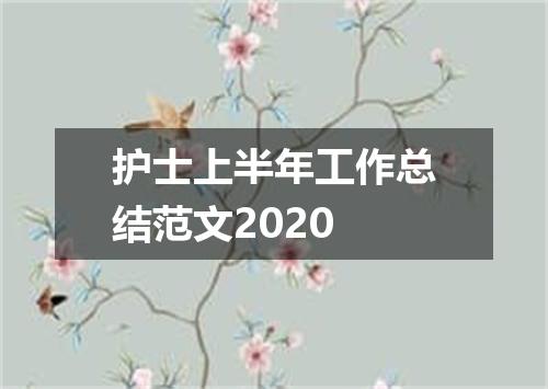 护士上半年工作总结范文2020