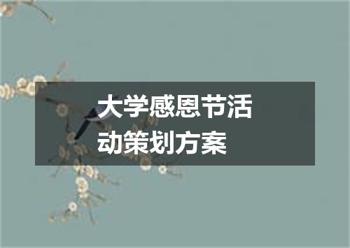 大学感恩节活动策划方案
