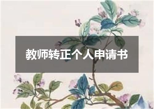 教师转正个人申请书