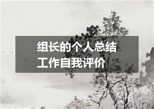 组长的个人总结工作自我评价