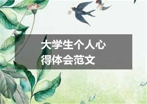 大学生个人心得体会范文