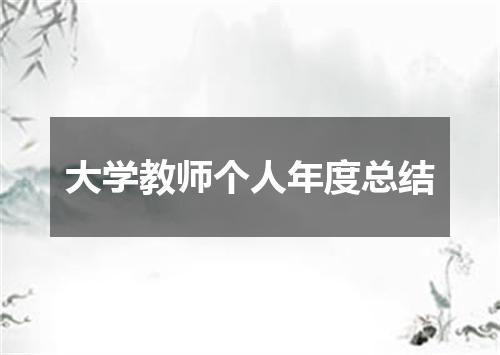 大学教师个人年度总结