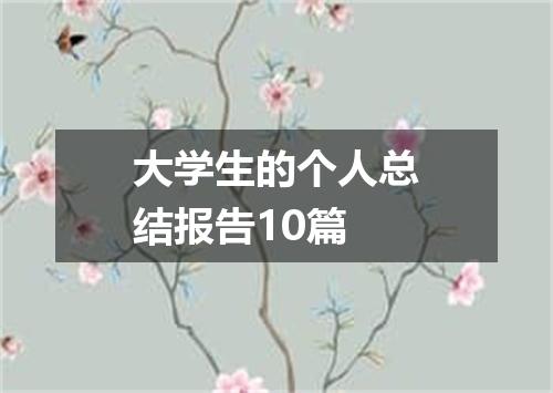 大学生的个人总结报告10篇