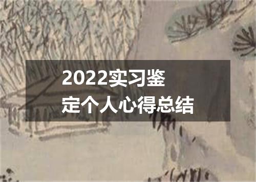 2022实习鉴定个人心得总结