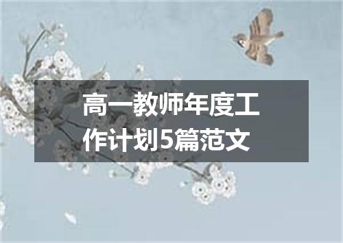 高一教师年度工作计划5篇范文