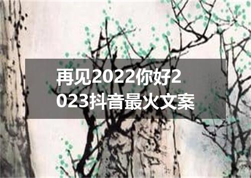 再见2022你好2023抖音最火文案