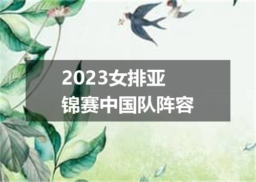 2023女排亚锦赛中国队阵容