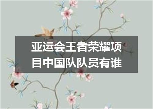 亚运会王者荣耀项目中国队队员有谁