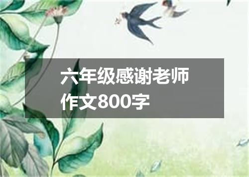 六年级感谢老师作文800字