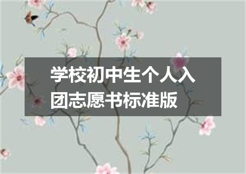 学校初中生个人入团志愿书标准版