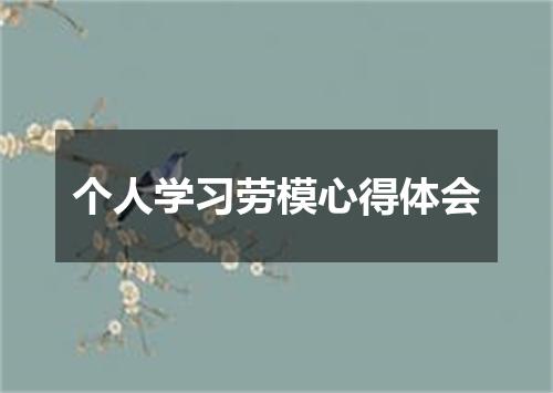 个人学习劳模心得体会