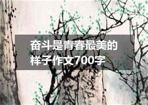 奋斗是青春最美的样子作文700字