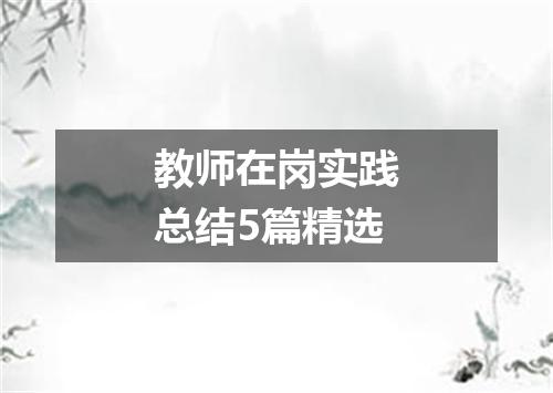 教师在岗实践总结5篇精选