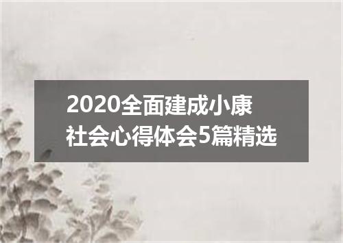 2020全面建成小康社会心得体会5篇精选