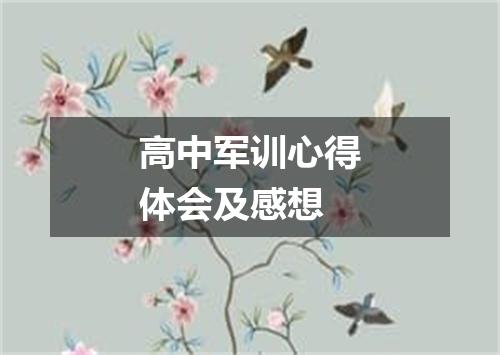 高中军训心得体会及感想