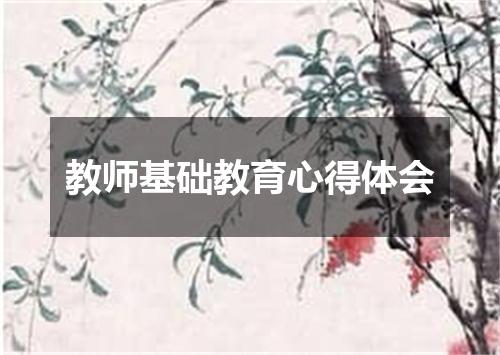 教师基础教育心得体会