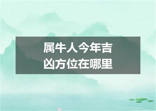 属牛人今年吉凶方位在哪里