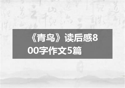 《青鸟》读后感800字作文5篇