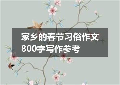 家乡的春节习俗作文800字写作参考