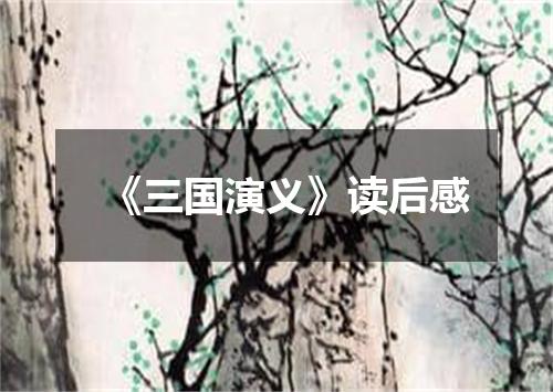 《三国演义》读后感