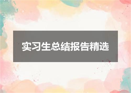 实习生总结报告精选